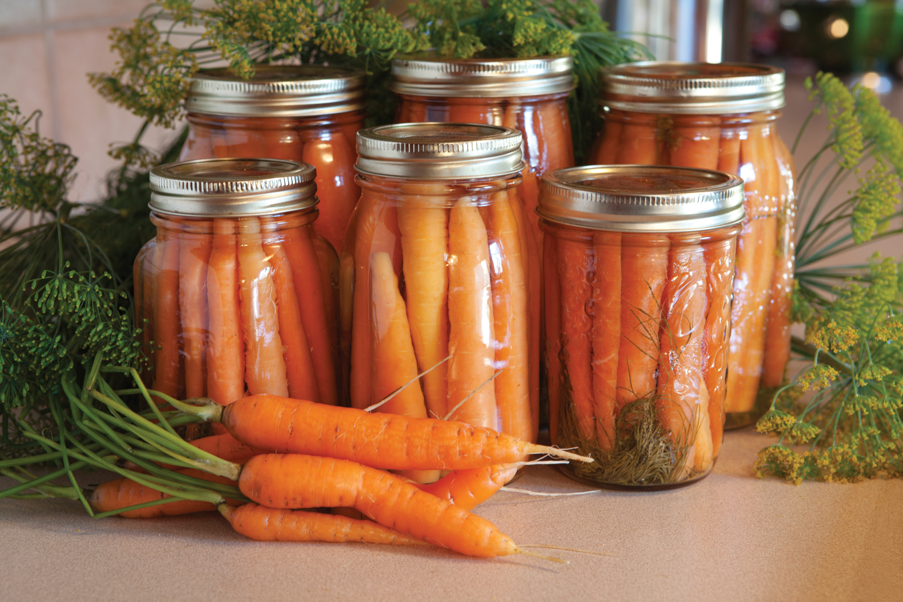 Dill Carrot Pickles Recipe – Cappers Farmer
